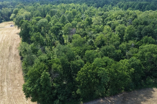 25 ± acres Owen County – Tract 1